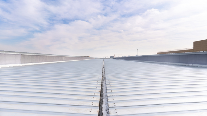 子夜无人免费观看