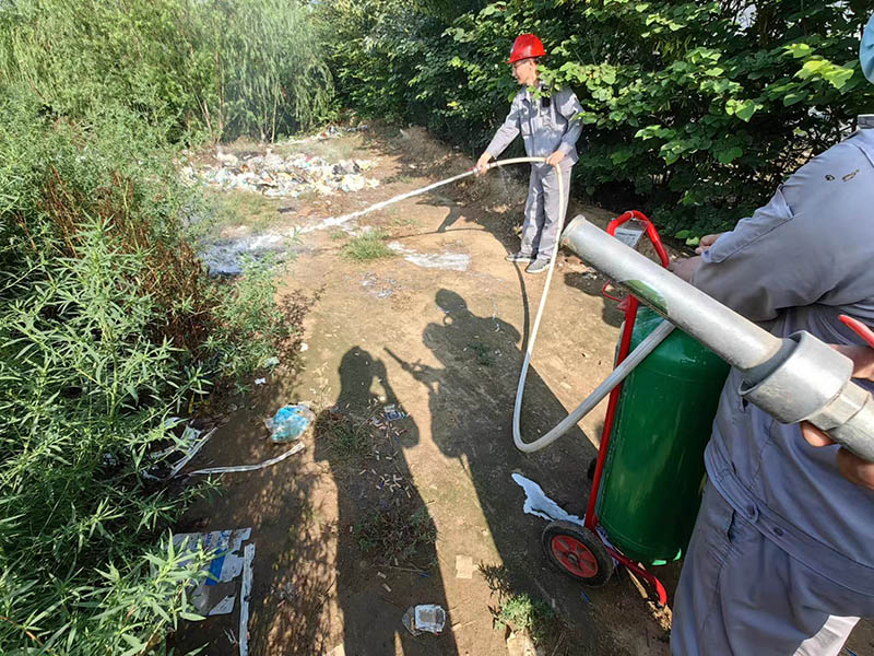 子夜无人免费观看